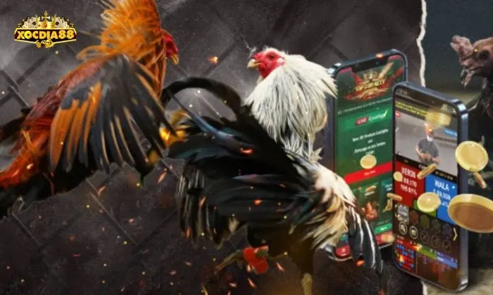 Sảnh game Đá gà xocdia88 nổi bật