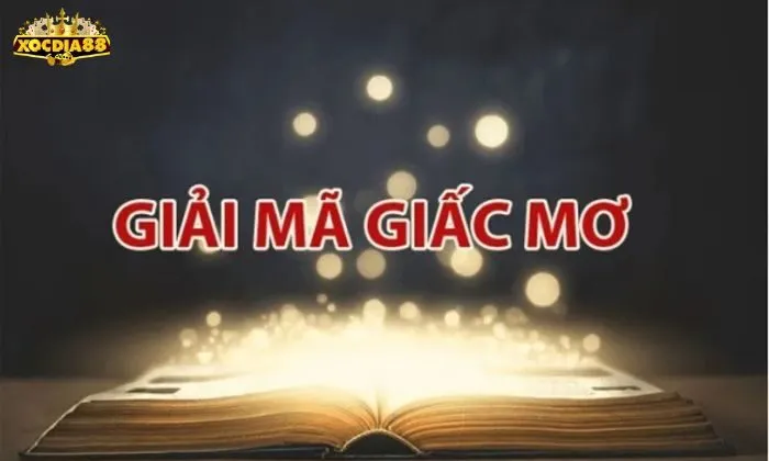 nằm mơ đánh xóc đĩa đánh con gì Nằm mơ chơi xóc đĩa có ý nghĩa gì