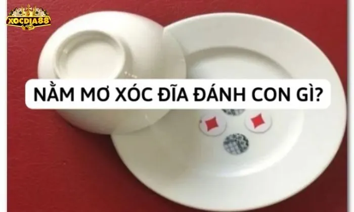 nằm mơ đánh xóc đĩa đánh con gì Nằm mơ chơi xóc đĩa ra tứ tử