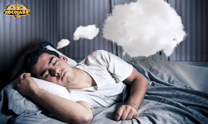 nằm mơ đánh xóc đĩa đánh con gì Mỗi giấc mơ mang điềm báo và con số khác nhau